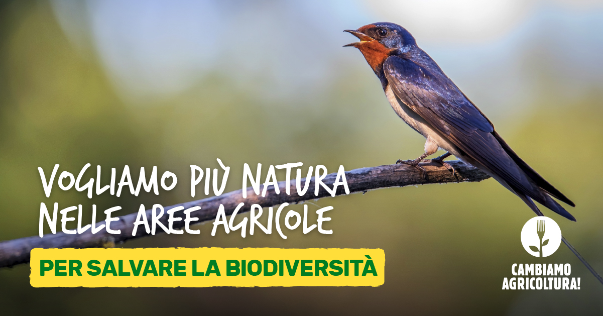 Biodiversità