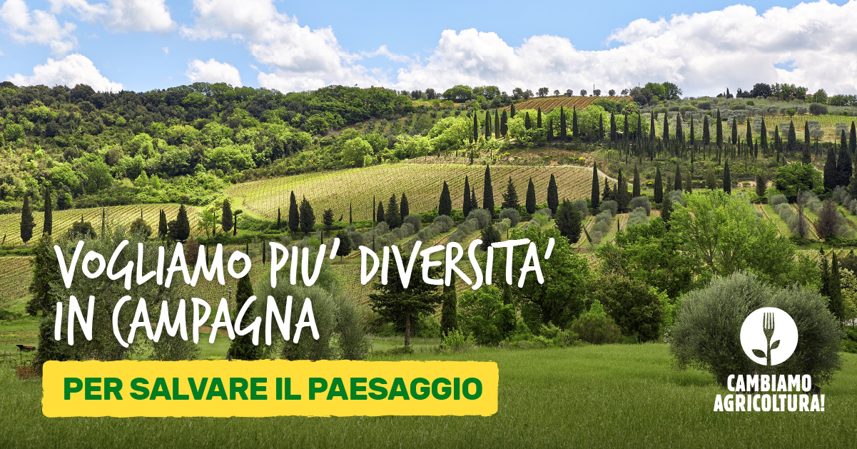 Paesaggio