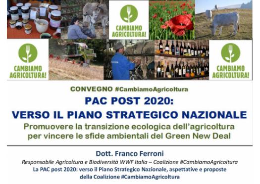 convegno-psn_23gen01-ferroni-coalizione-cambiamoagricoltura.pdf