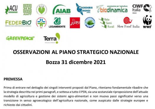 Osservazioni al Piano Strategico Nazionale - cambiamoagricoltura