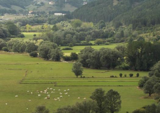 Storie dal territorio - cambiamoagricoltura