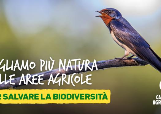 Biodiversità