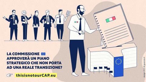 Coalizioni e Commissari Europei