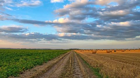 Cambiamo Agricoltura