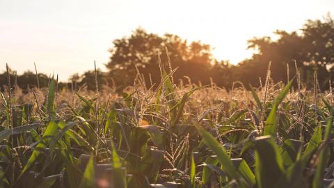 incontri - CambiamoAgricoltura