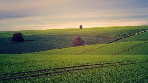 transizione ecologica - CambiamoAgricoltura