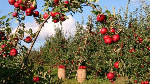 Politiche agricole dell'Europa - CambiamoAgricoltura