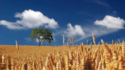 No alle deroghe delle norme della politica agricola comune per la tutela della biodiversità nei siti Natura 2000