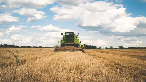 Rapporto Eco-schemi nell'UE - CambiamoAgricoltura