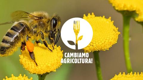 #CambiamoAgricoltura