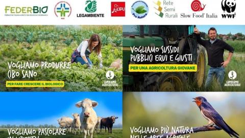 ELEZIONI 2022: AGENDA PER UNA VERA TRANSIZIONE ECOLOGICA DELL’AGRICOLTURA 