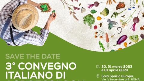 Convegno-online