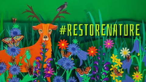 Restorenature