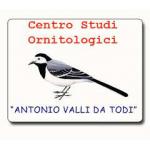 Centro Studi Ornitologici "Antonio Valli da Todi"