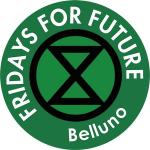 Friday for Future Belluno
