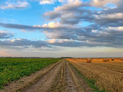 Cambiamo Agricoltura