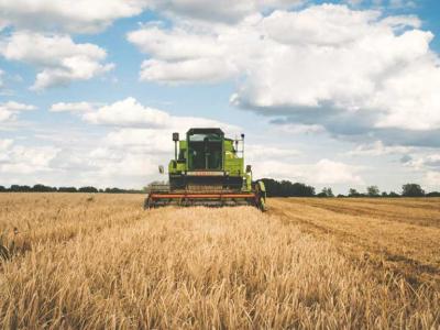 Rapporto Eco-schemi nell'UE - CambiamoAgricoltura