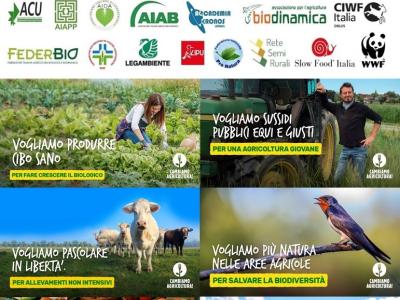 ELEZIONI 2022: AGENDA PER UNA VERA TRANSIZIONE ECOLOGICA DELL’AGRICOLTURA