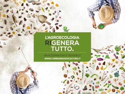 Testata campagna
