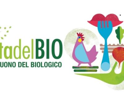 Festa del Bio