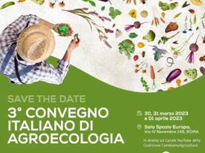 Convegno-online