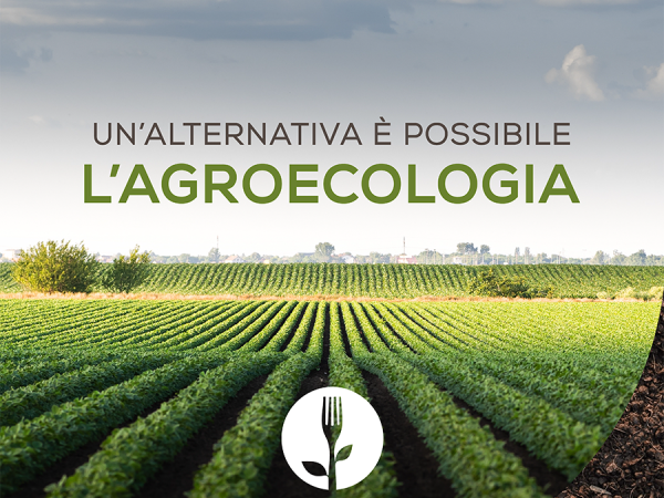 agrieco1