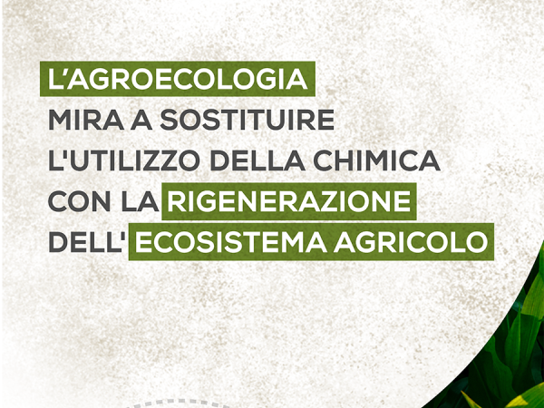 agrieco2